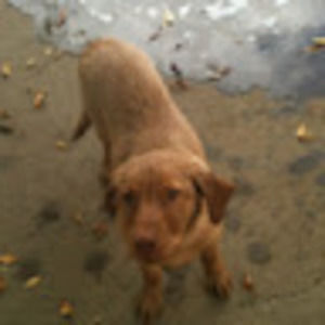 Meet your Posher, Judy